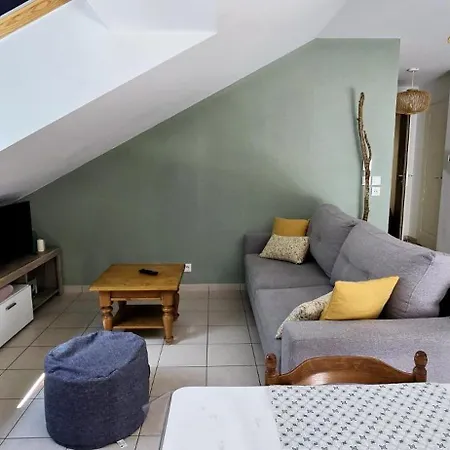 Le Cocon De Ripaille Thonon-les-Bains