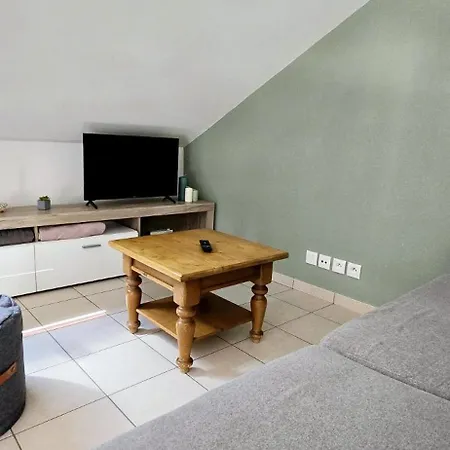 Le Cocon De Ripaille Apartment Thonon-les-Bains