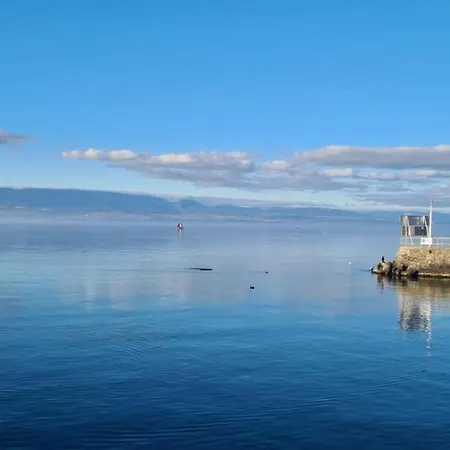 Le Cocon De Ripaille Appartamento Thonon-les-Bains